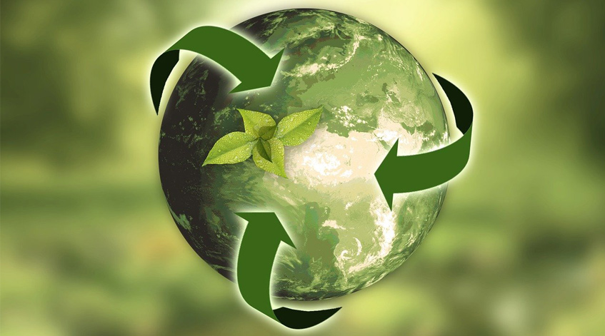 É possível ter um negócio rentável e preocupado com o meio ambiente?